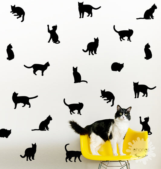 Cat decals