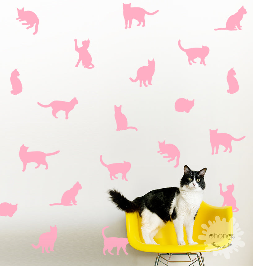 Cat decals